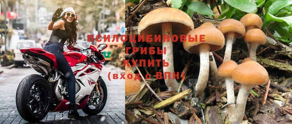 mdpv Бугульма