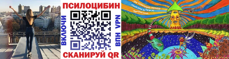 Псилоцибиновые грибы GOLDEN TEACHER гидра зеркало Кемерово продажа наркотиков